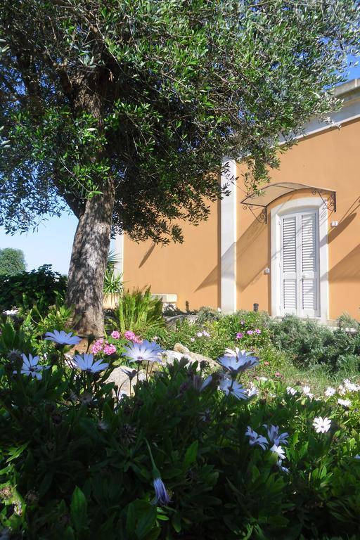 Tenuta Masseria Del Gallo カリメーラ エクステリア 写真